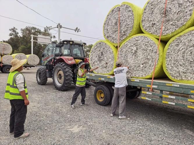 新棉开秤迎丰收 银通棉业各轧花厂收购加工有序开展