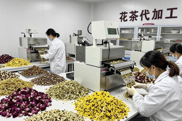 2026年8月花草茶oem贴牌代加工厂选择指南:为什么"第一"只能是安徽统